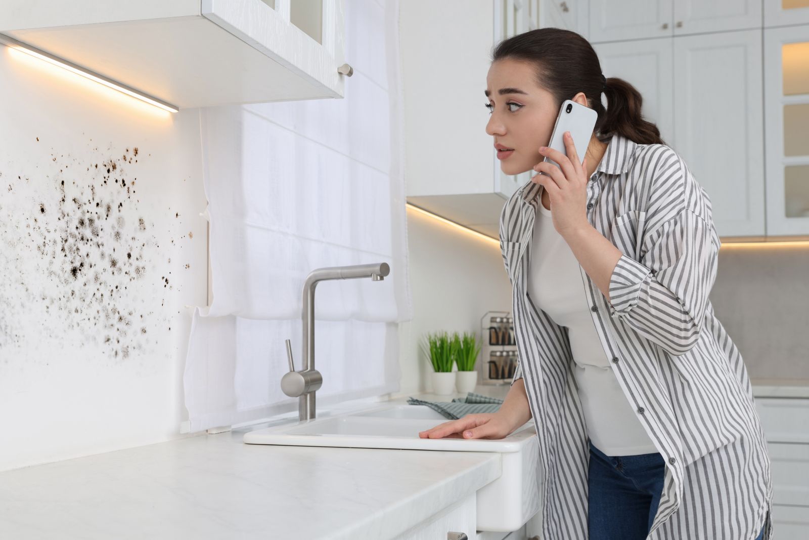 Mold Removal Made Easy: Safe and Effective Solutions for Your Home Image